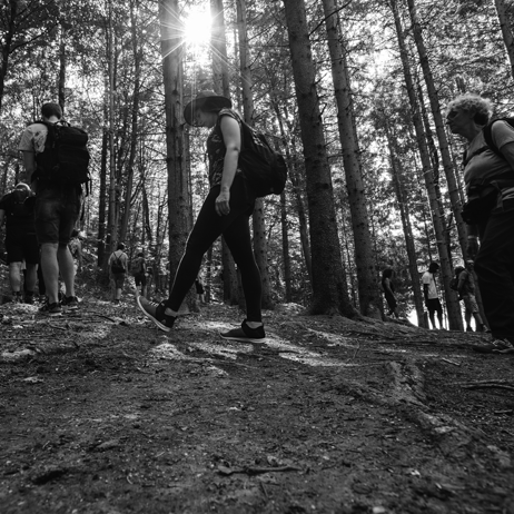 Forest Bathing di gruppo